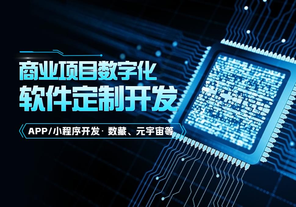 軟件定制開發公司
